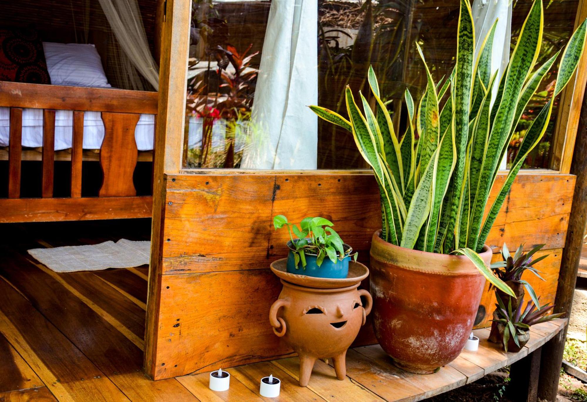 Hotel Casa Caracola Granada Zewnętrze zdjęcie